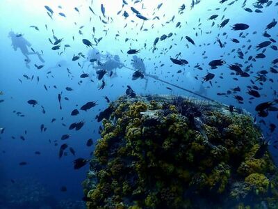 8 Mile Rock, Koh Lipe, Thailand