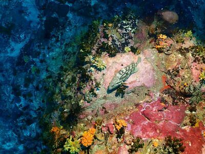 8 Mile Rock, Koh Lipe, Thailand