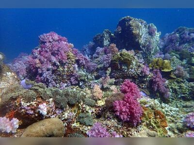 8 Mile Rock, Koh Lipe, Thailand