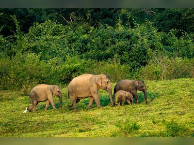 Kui Buri National Park, Prachuap Khiri Khan, Thailand