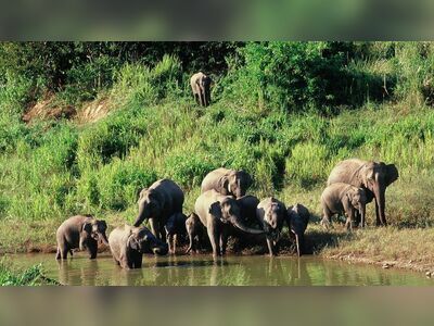 Kui Buri National Park, Prachuap Khiri Khan, Thailand