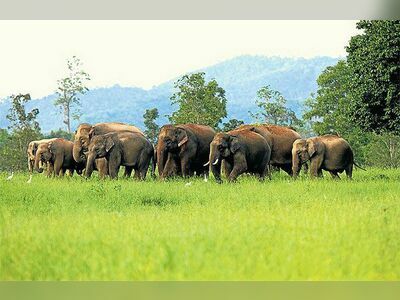 Kui Buri National Park, Prachuap Khiri Khan, Thailand