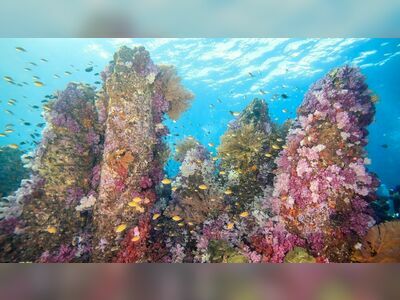 Stonehenge Dive Site, Koh Lipe, Thailand