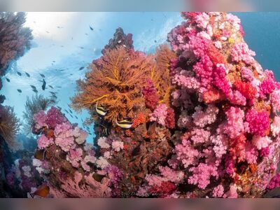 Stonehenge Dive Site, Koh Lipe, Thailand