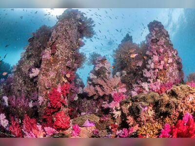 Stonehenge Dive Site, Koh Lipe, Thailand