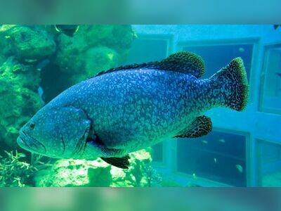 Waghor Aquarium, Prachuap Khiri Khan, Thailand