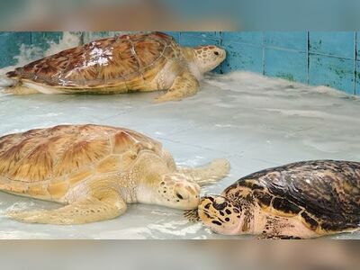 Waghor Aquarium, Prachuap Khiri Khan, Thailand