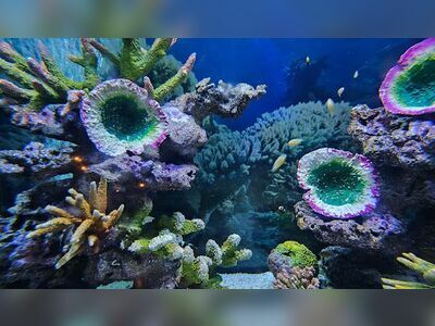 Waghor Aquarium, Prachuap Khiri Khan, Thailand