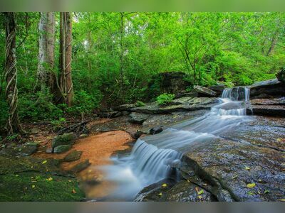 Phu Phan National Park, Sakon Nakhon, Thailand