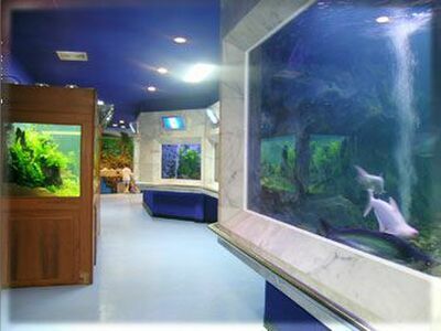 Sakon Nakhon Aquarium, Thailand