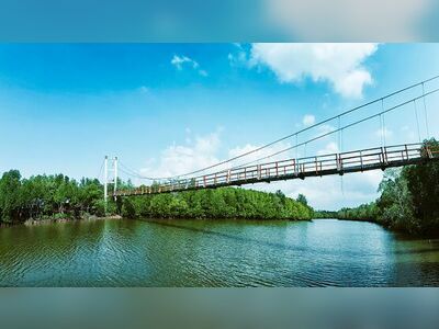 Thung Kha Bay Mangrove Forest, Chumphon, Thailand