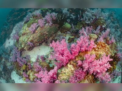 8 Mile Rock, Koh Lipe, Thailand
