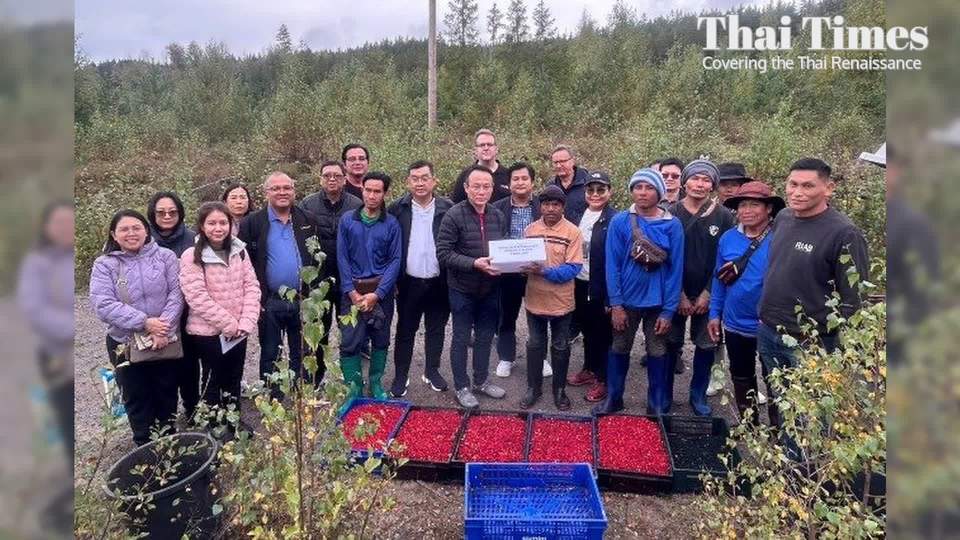 Thai Labour Ministry Ensures Welfare of Berry Pickers in Sweden Thai