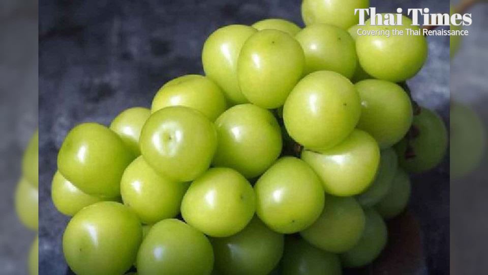 Thailand's FDA Pressured to Address Contaminated Shine Muscat Grapes
