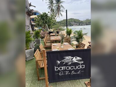 Barracuda on the Beach