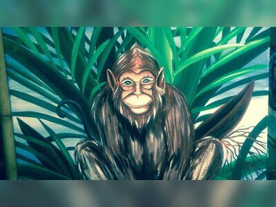 Master Gallery 9 Magic Art, Krabi