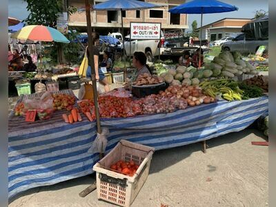 Wednesday Market
