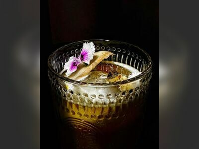 Lila Bar