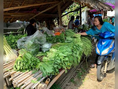 Wednesday Market