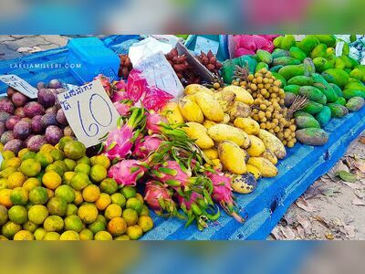 KOH Lanta Monday Market