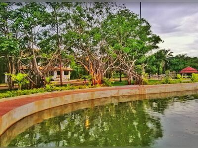 King Rama IX Park, Surat Thani