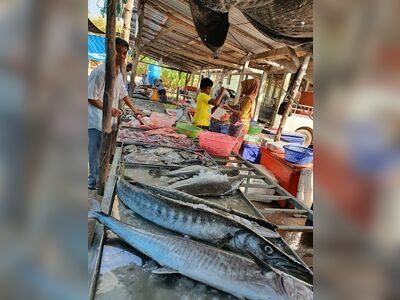The Thursday Food Market