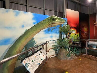 The Thai Island and Sea Natural History Museum