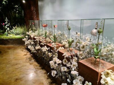 House of Opium Museum