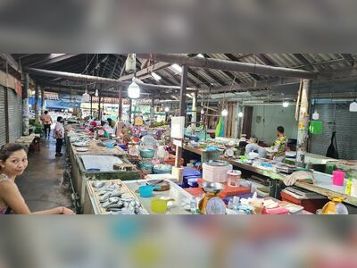 Local food market