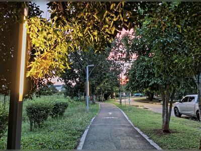 King Rama IX Park, Surat Thani