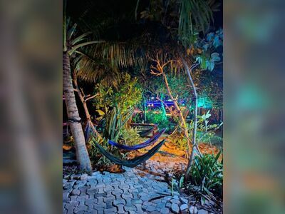 Sunflower Beach Bar