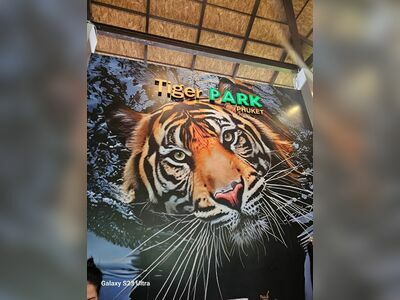 Tiger Park Phuket