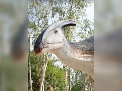 Dinosaur Park Pattaya