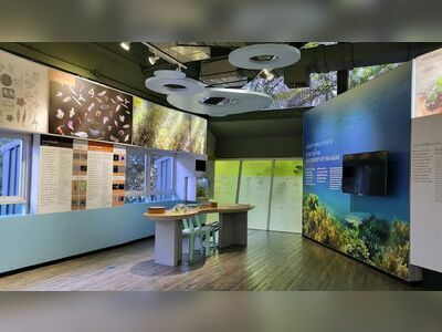 The Thai Island and Sea Natural History Museum