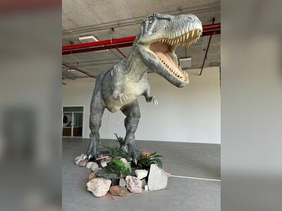 Phun Phin Geology Museum