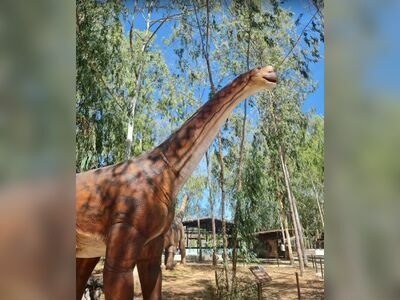 Dinosaur Park Pattaya