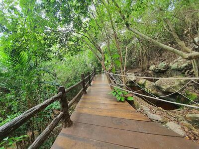 The Thai Island and Sea Natural History Museum