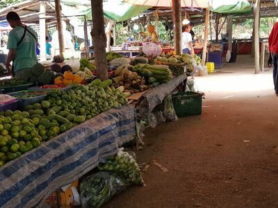 Saturday Market