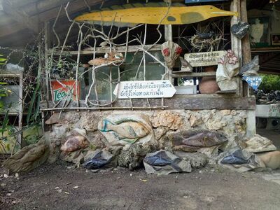 Fish Stone Museum