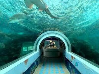 Koh Khao Kheow Aquarium