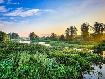 Kung Thelae Wetland