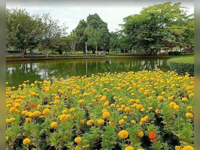 King Rama IX Park, Surat Thani