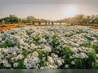 King Rama IX Park