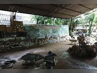 Fish Stone Museum