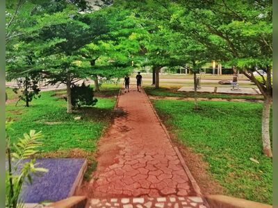 King Rama IX Park, Surat Thani