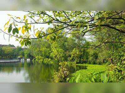 Vajirabenjatat Park (Rot Fai Park)
