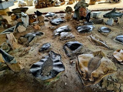 Fish Stone Museum