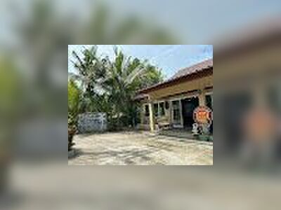 Coconut House