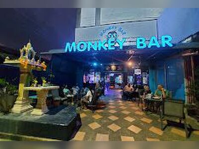 Monkey Bar