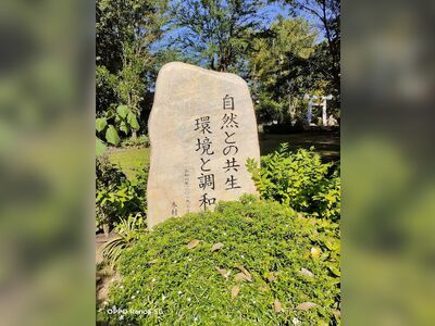 Shinto Park